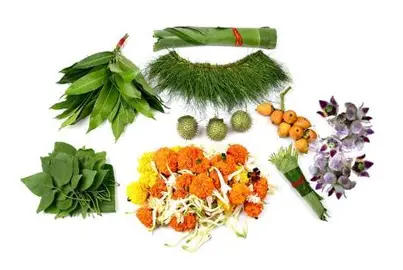 Herbs